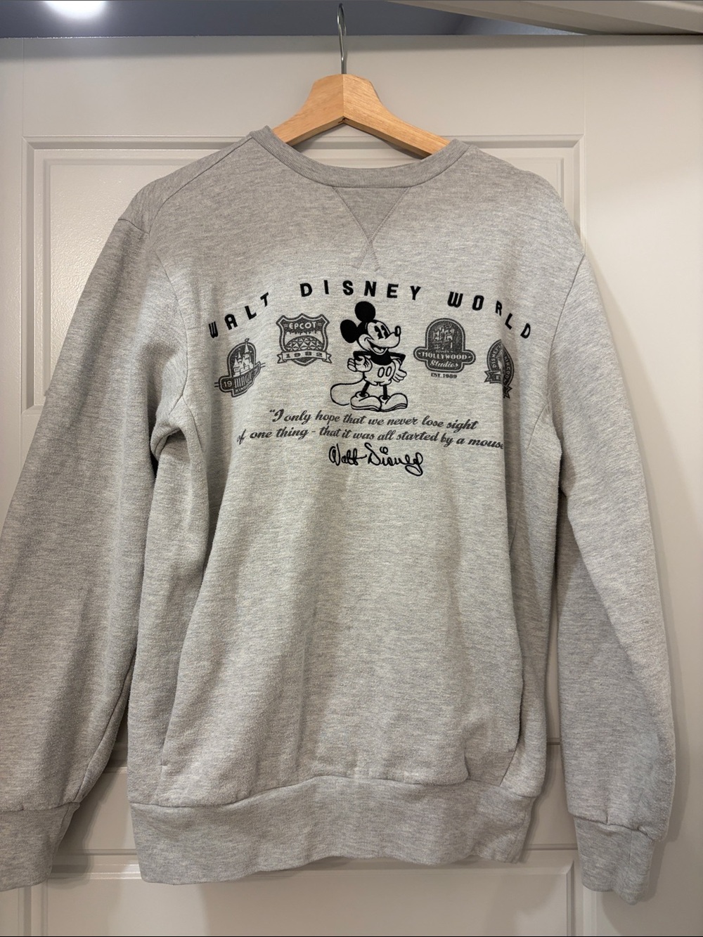 Authentic Disney World Parks Sweatshirt